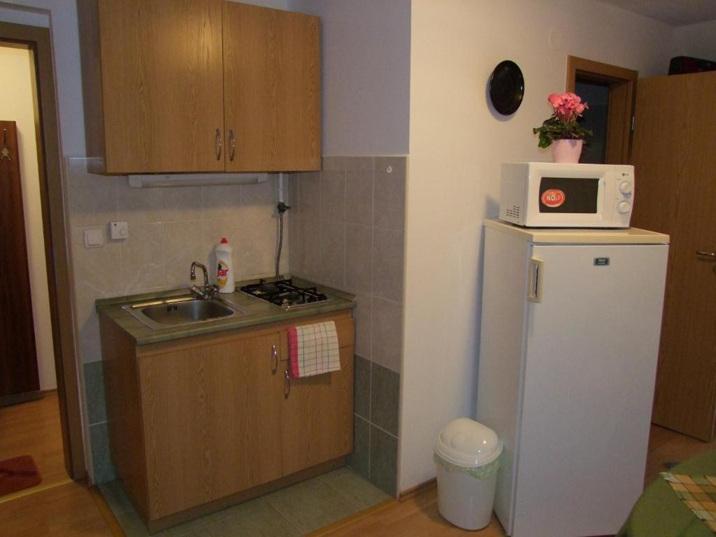Rajna Apartmanhaz Bogács 部屋 写真